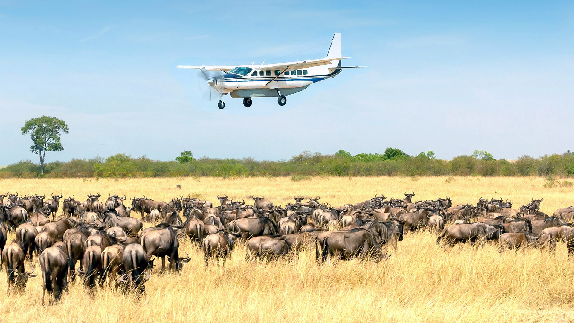 air safaris from arusha