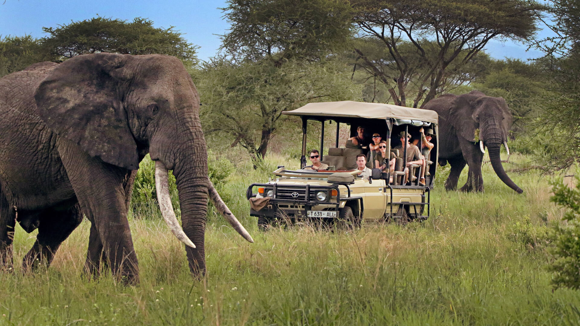 tanzania road safaris