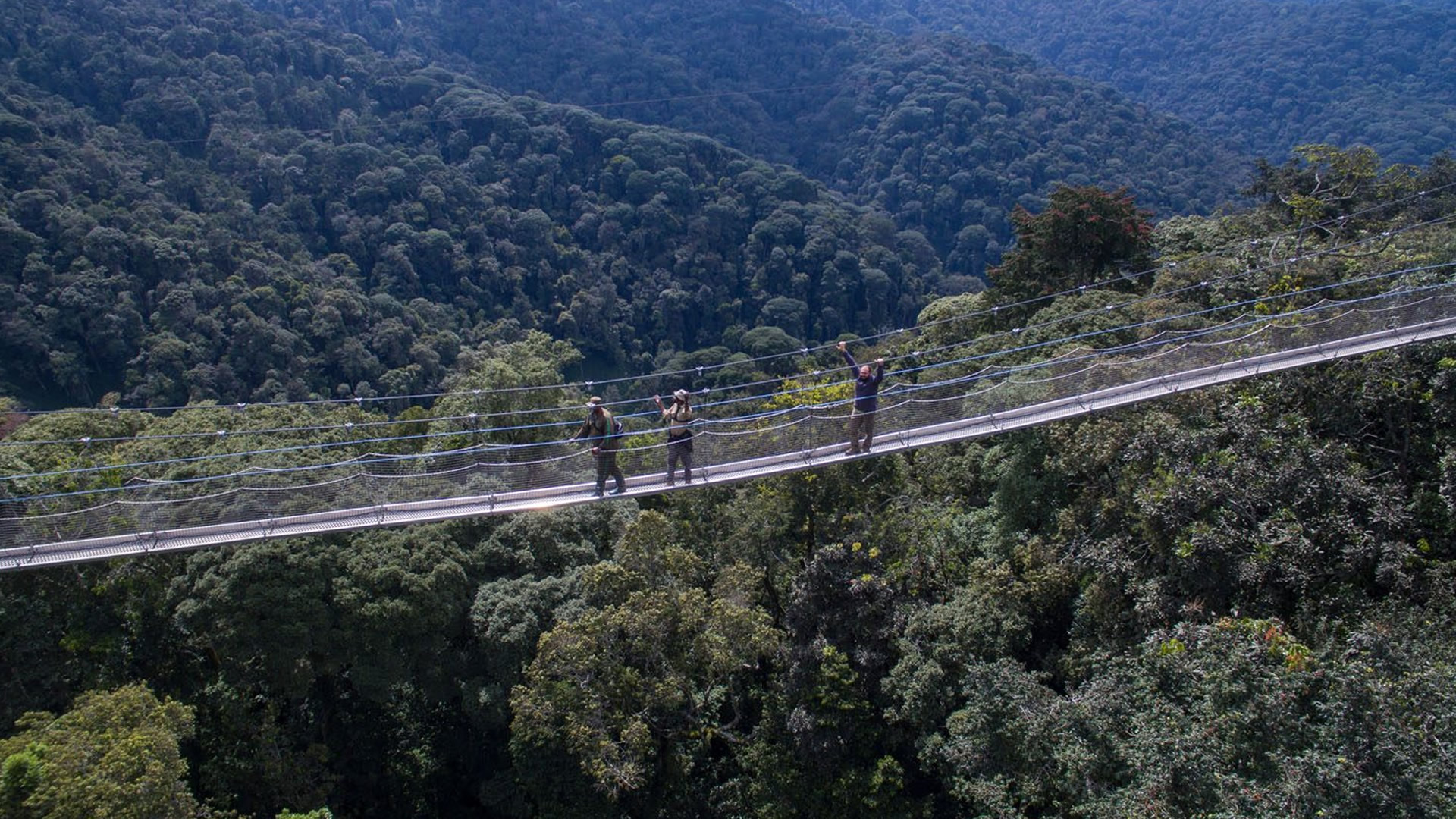 nyungwe forest national park