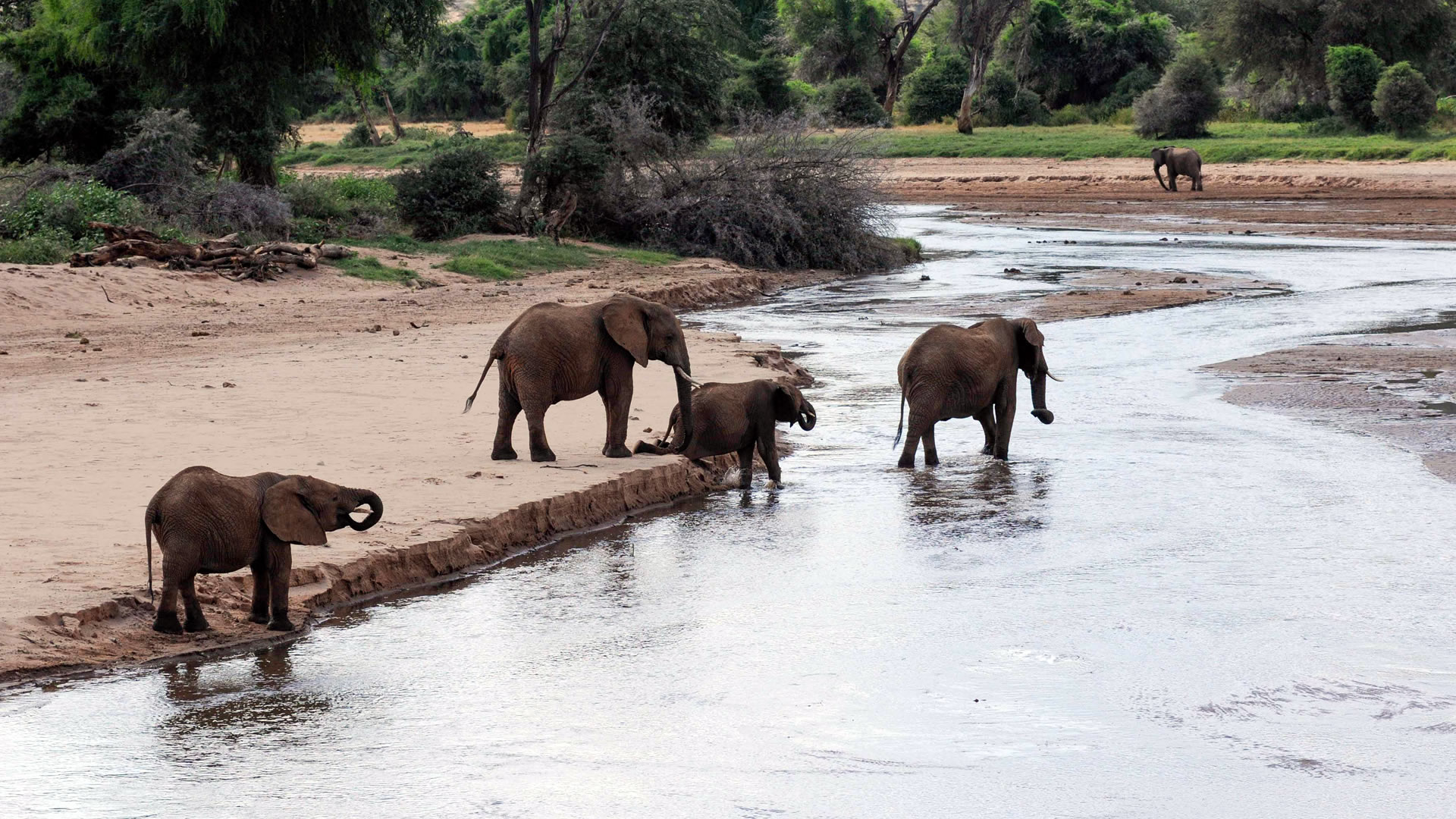 5 Days Samburu National Reserve & Ol Pejeta Conservancy