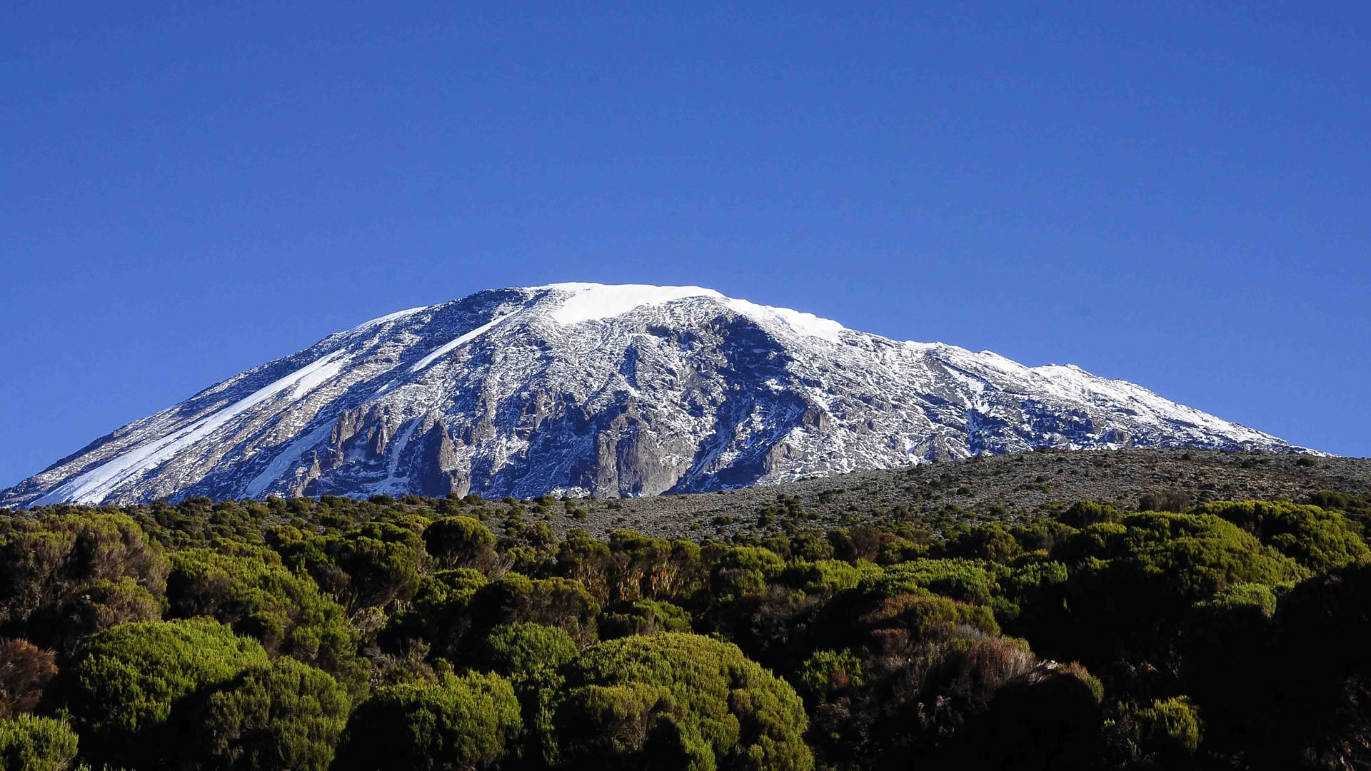 8 Days Mount Kilimanjaro Climb, Marangu Route