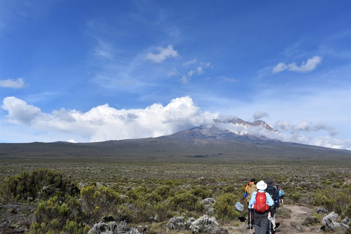 8 days mount kilimanjaro climb, umbwe route